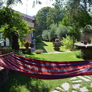 Le Di Bacco Santa Venerina